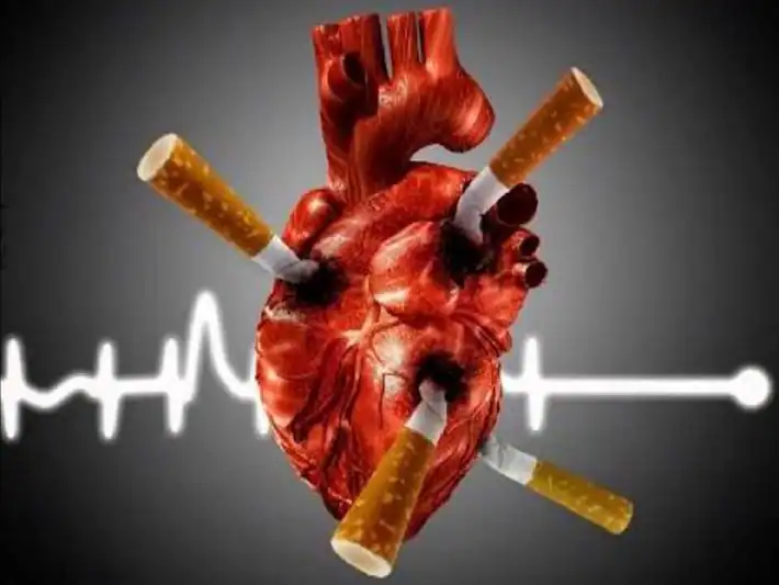 Thuốc lá gây nhiều tác hại trên tim mạch